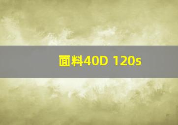 面料40D 120s